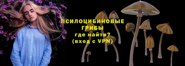 мяу мяу мука Абаза