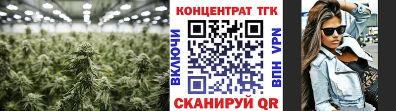 купить наркоту  Красновишерск  Дистиллят ТГК THC oil 